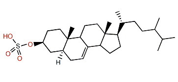 24-Methyl-5a-cholest-7-en-3b-ol sulfate
